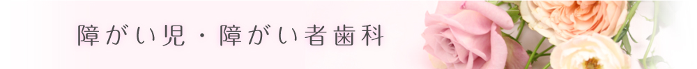 障がい児・障がい者歯科